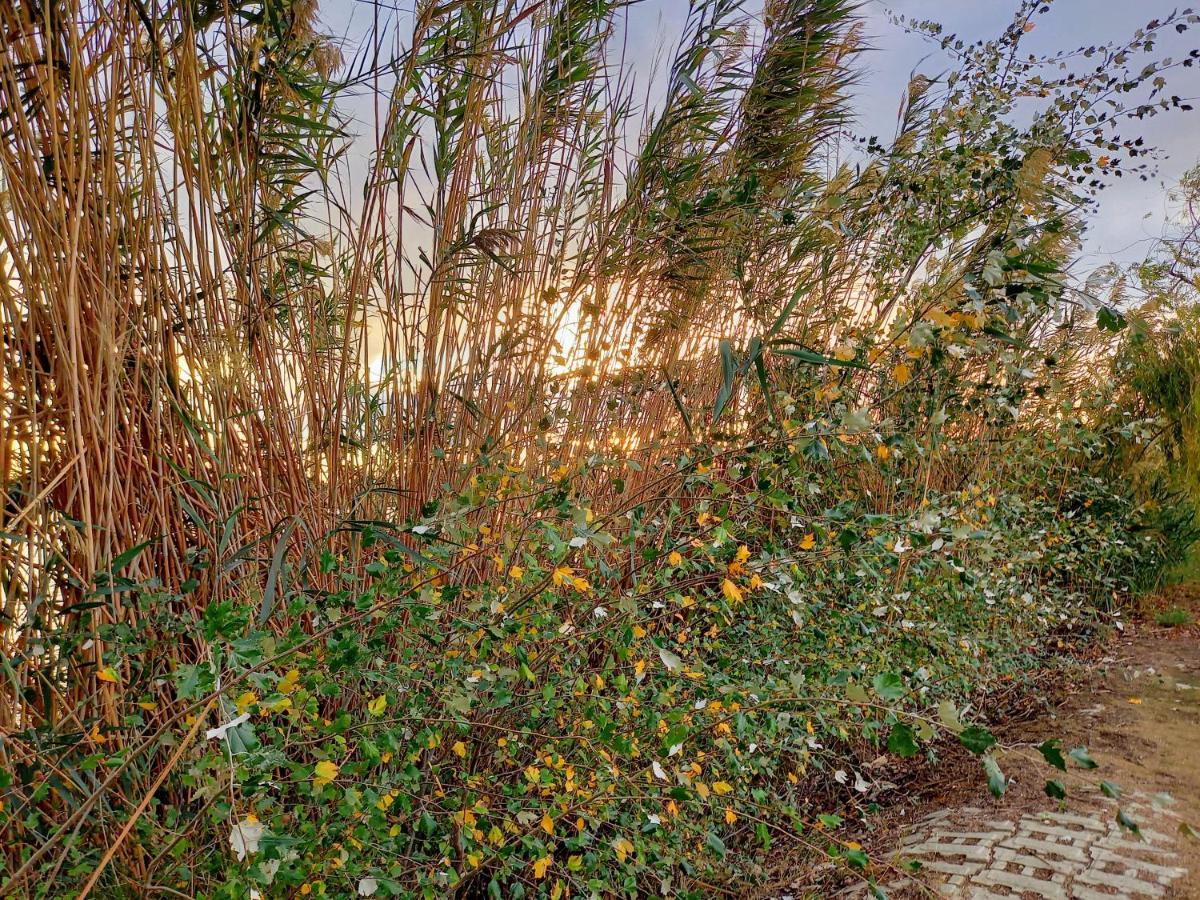 L'Hotelet Del Delta - Adults Deltebre Exterior photo